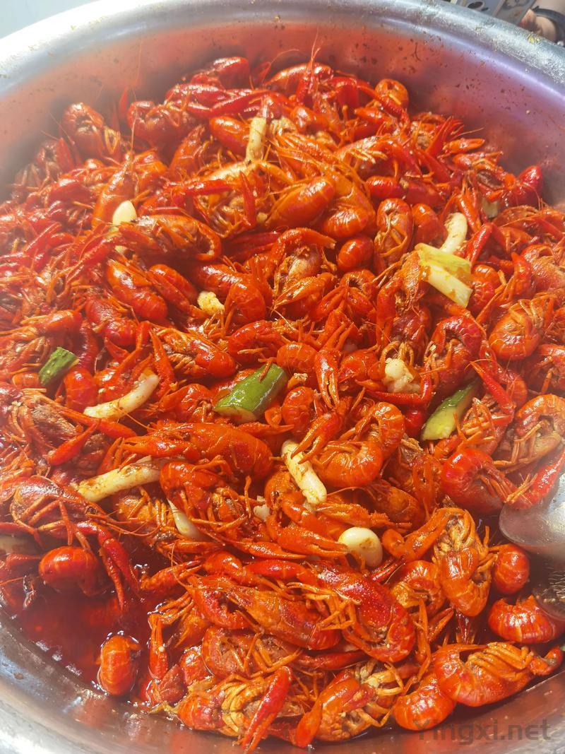 南充市小龙虾及甲鱼垂钓园，自己钓的才好吃！